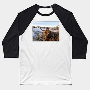 Scottish Highland Cattle Cows 2225 Baseball T-Shirt